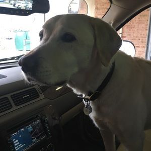 Meet your Posher, Debbie